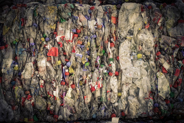bottle pet plastic prepare to recycle
