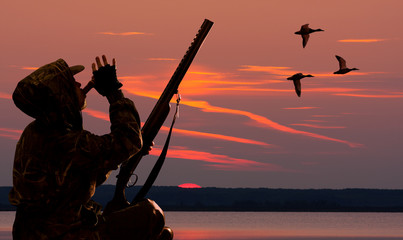 hunter lures ducks at dawn