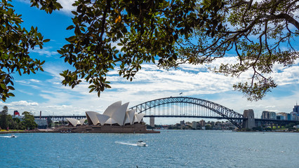 Sydney Bridge and Opera House