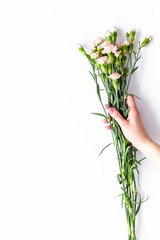 Bouquet of pink carnation in female hands on white background top view copy space