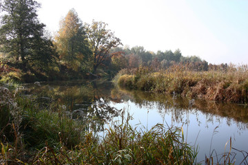 Solar quiet morning. Plants on coast of the small river began to be painted in colors of fall.
