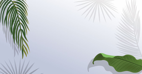 Fototapeta na wymiar Realistic green palm leaf branches on white background.
