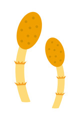 つくし