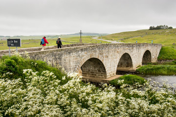 Two hikers cross a bridge in the Aubrac region on the pilgrimage way to santiago de Compostela - 252176800