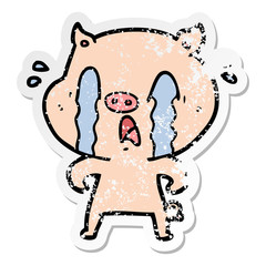 distressed sticker of a crying pig cartoon