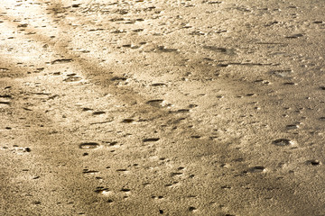 Background with ice on the pond