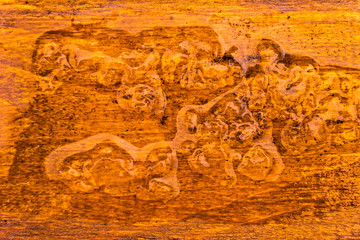 Wood abstraction background with ice and water
