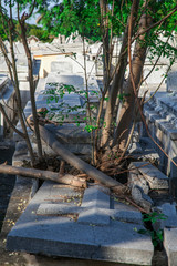 Havana, Cuba - 08 January 2013: The cemetery of Havana in Cuba.