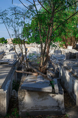 Fototapeta na wymiar Havana, Cuba - 08 January 2013: The cemetery of Havana in Cuba.