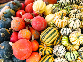 Squashed Pumpkins