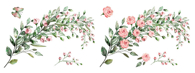 watercolor drawing of twig with leaves and flowers. Botanical illustration .Composition of pink roses and wild herbs.