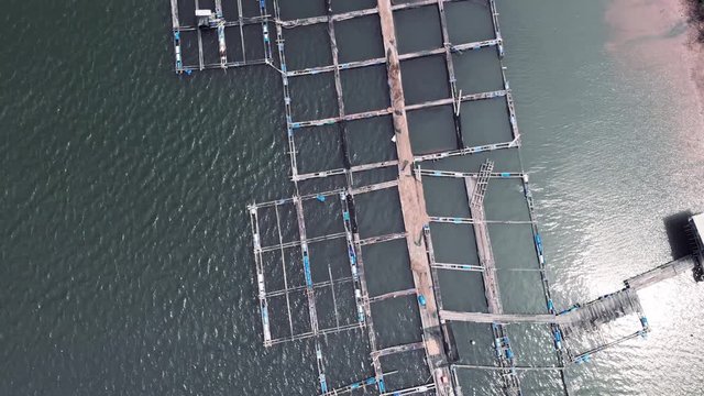 Aerial Drone footage of cages of a large fish farm