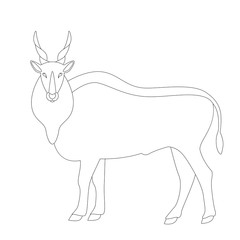 antelope, vector illustration,  lining draw,