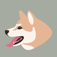 akita dog head,  vector illustration,