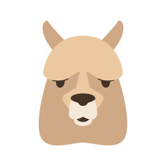 lama face,   vector illustration,  flat style,
