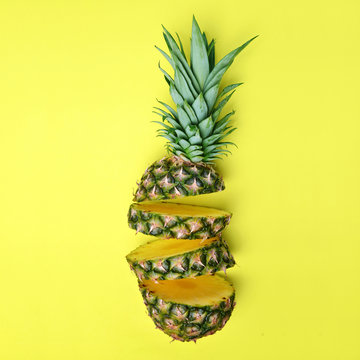 Can Dogs Eat Pineapple? Here's What You Need to Know Can Dogs Eat Pineapple? The Surprising Answer