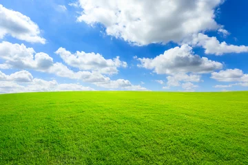 Papier Peint photo autocollant Herbe Green grass and blue sky with white clouds