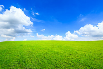 Green grass and blue sky with white clouds