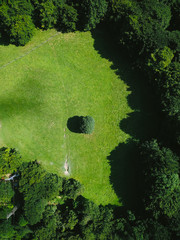 the view from the top of the tree