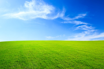 Fototapeta premium Zielona trawa i błękitne niebo z białymi chmurami