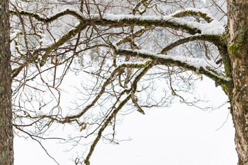 Snowfall on the Fusine lakes. Ghaccio and enchanting snow. Tarvisio, Friuli