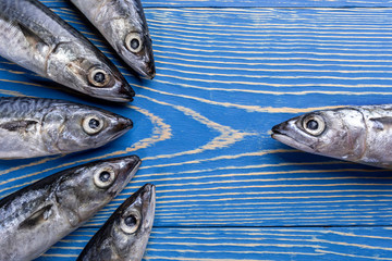 One mackerel fish lying aganist  five fishes on painted blue wooden background. 