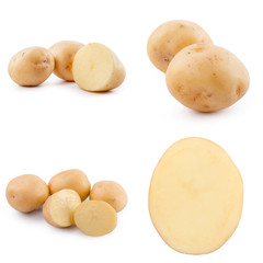 Collection of potato isolated on white background