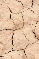 Dried Earth