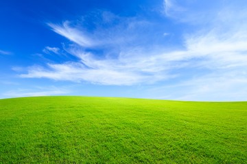 Obraz premium Zielona trawa i błękitne niebo z białymi chmurami