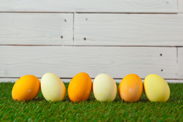 Easter eggs on green grass