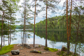 Scenic landscape with woodland and lake reflection at summer day in Finland.