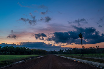 Countryside dirt road through palm forests and rice fields at sunset