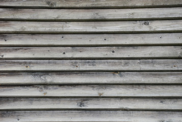 Obraz premium old wood texture background