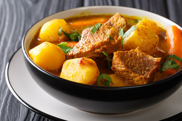 Potjiekos, is a traditional stew recipe from South Africa and Namibia closeup in a bowl. horizontal