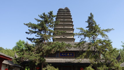 goose pagoda 