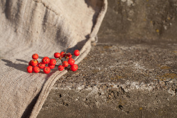 Rowan berries on sacking