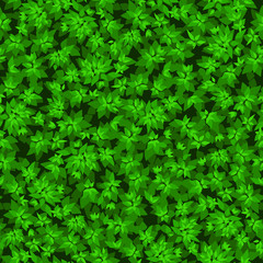seamless wall of leaves, vector