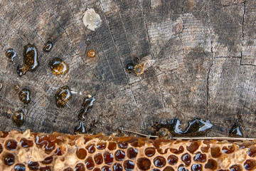 Section of wax honeycomb from beehive on the vintage wooden background. .