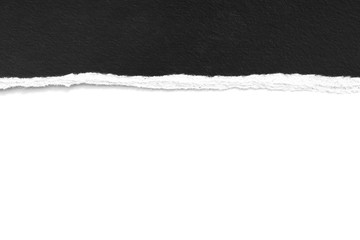 pieces of torn paper texture background, copy space.