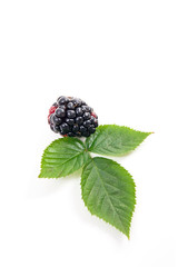 Ripe blackberry fruit with leaf isolated on white background.