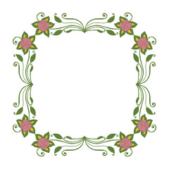 Vector illustration frame flower pink and green hand drawn