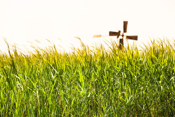 Rural Farm Scene / Tall thicket grass meadow at countryside, silhouette rotor blades of rusty...