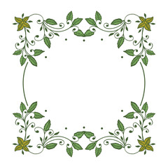 Vector illustration beautiful flower red and green frames hand drawn