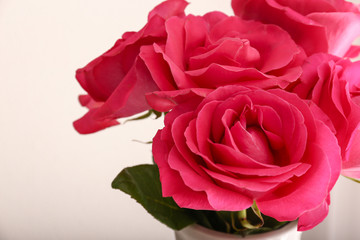 Bouquet of beautiful roses, closeup