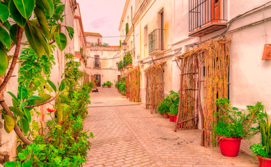 Fototapeta na wymiar Streets of Tarifa. Andalusia. Cadiz.Spain.
