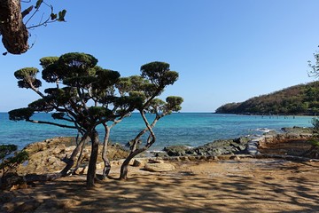 Tropical Island Paradise In Thailand