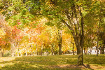 Fototapeta premium Autumn Park, Ałmaty, Kazachstan