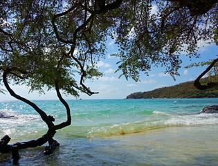 Deserted Island Paradise In Thailand