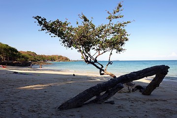 Peaceful Tropical Island In Thailand