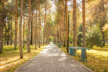 Fototapeta premium Pathway in the City Park in Autumn, Almaty, Kazakhstan